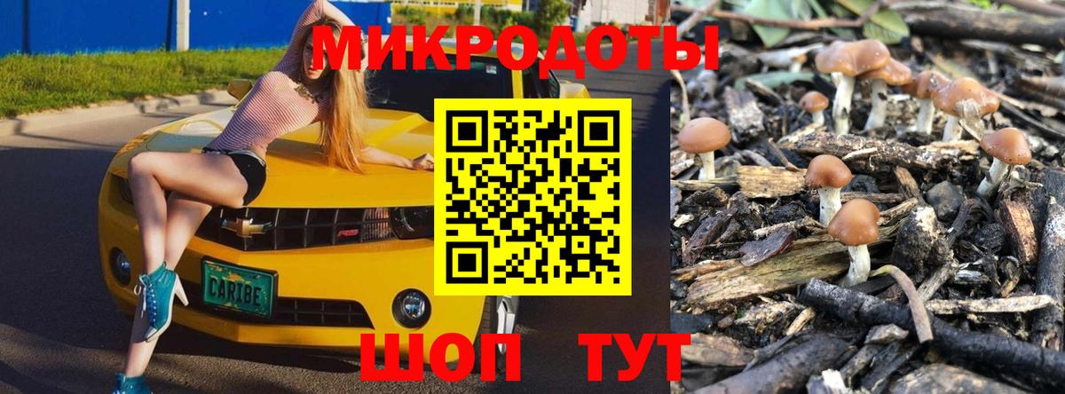 Галлюциногенные грибы GOLDEN TEACHER Воскресенск