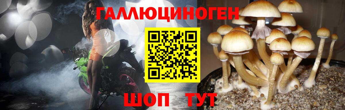 Воскресенск  Галлюциногенные грибы мухоморы  цены наркотик  Вход с VPN  Псилоцибиновые грибы мухоморы 
